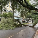 WhatsApp Image 2026-04-27 at 07.36.38