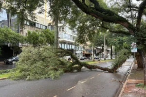 WhatsApp Image 2026-04-27 at 07.36.38