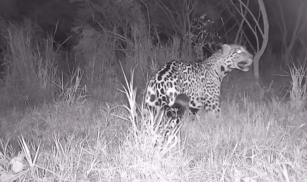 WhatsApp Image 2026-04-28 at 15.24.14