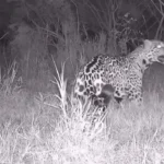 WhatsApp Image 2026-04-28 at 15.24.14