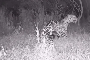 WhatsApp Image 2026-04-28 at 15.24.14