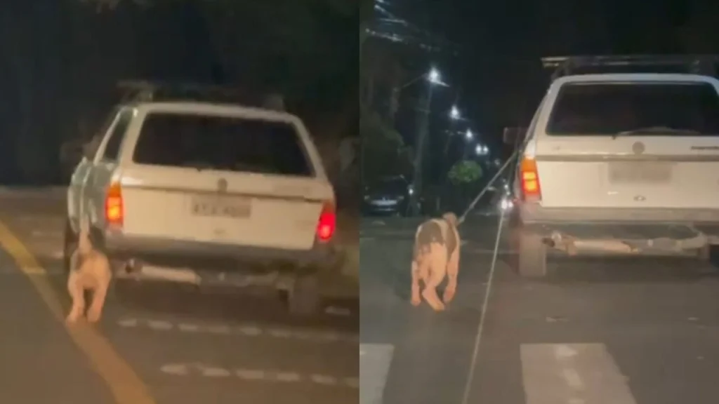 WhatsApp Image 2026-04-29 at 09.32.11