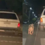 WhatsApp Image 2026-04-29 at 09.32.11