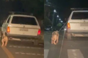 WhatsApp Image 2026-04-29 at 09.32.11