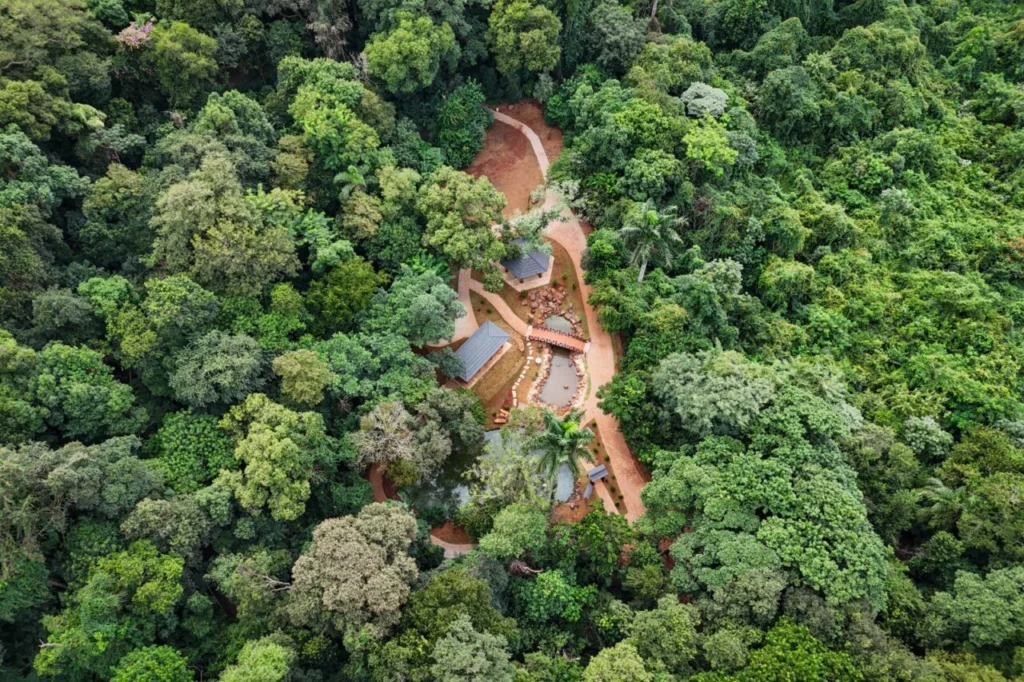 WhatsApp Image 2026-04-30 at 08.22.32