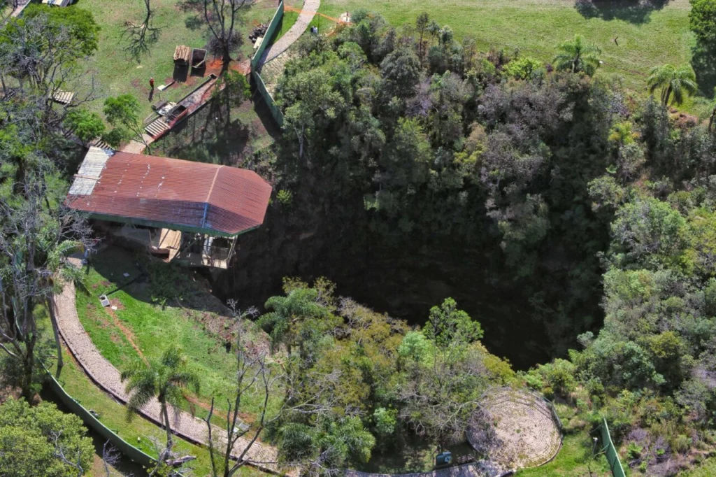 WhatsApp Image 2026-04-30 at 08.58.37