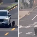 duas-pessoas-13006351830202604082017-1