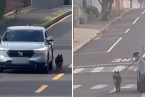 duas-pessoas-13006351830202604082017-1