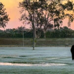 geada_parque_saojose_foto_rdziura-4833