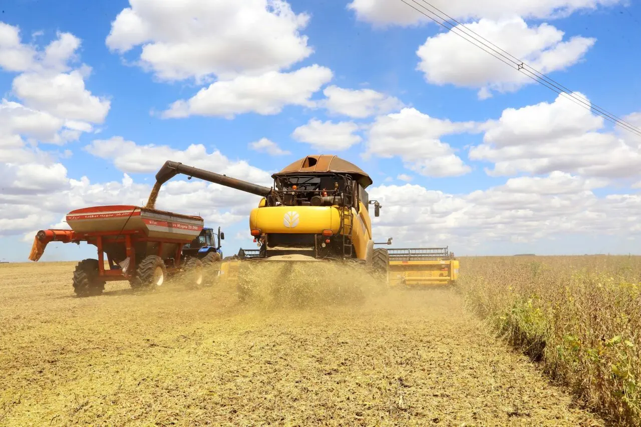 33 municípios do Paraná faturam mais de R$ 1 bilhão com o agronegócio; veja a lista completa