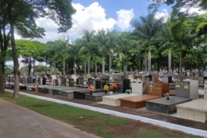 QUARTA.jpeg-1-768×433.jpg