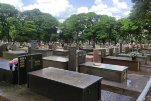 QUINTA.jpeg-1-1024×577.jpg