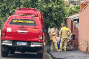 Trabalhadores-levados-pressas-hospital-ataque-abelhas-960×592
