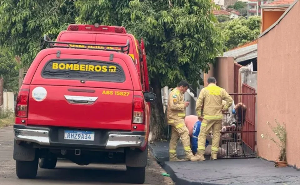 Trabalhadores-levados-pressas-hospital-ataque-abelhas-960×592