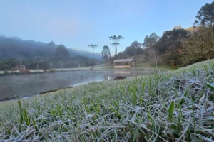 geada frio