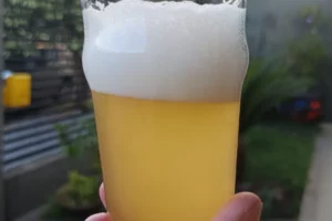 Evento gratuito em Maringá mostra na prática como fazer cerveja artesanal 