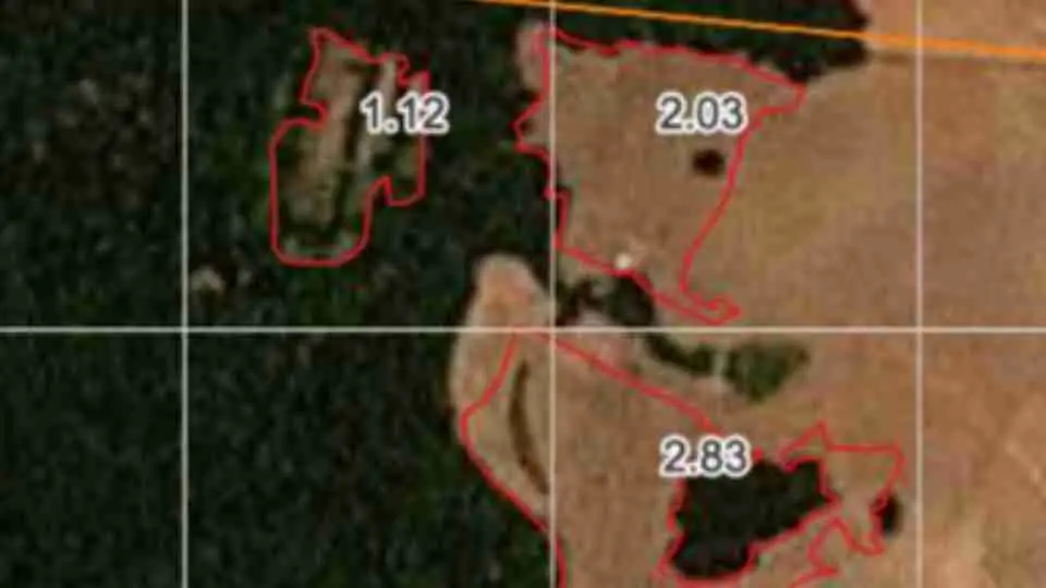 17804141326a1ef6b4991c5