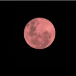 Captura de tela 2026-06-26 134641