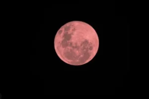 Captura de tela 2026-06-26 134641