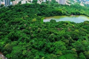 Parque do Ingá e gestão de resíduos lideram agenda de sustentabilidade em Maringá