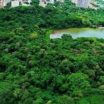 Parque do Ingá