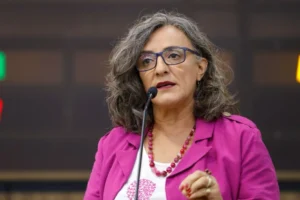 Vereadora Ana Lúcia