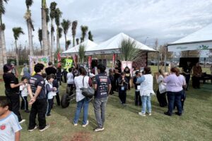 Da educação ambiental à energia limpa: Usina Santa Terezinha apresenta ações de sustentabilidade 