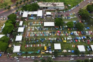 amigosdofuscamaringa_1768865202_3813840197960784901_5675513168jpg