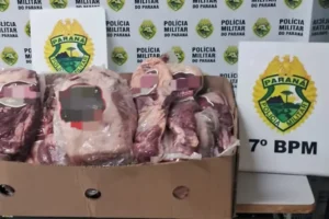 carne-encontrada-em-carro
