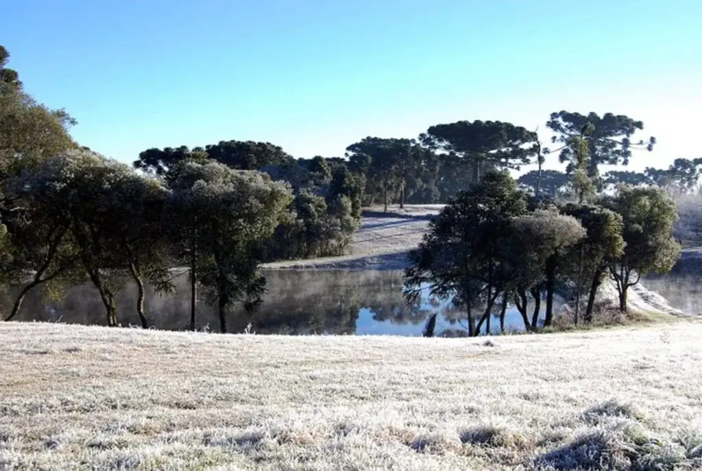 natureza com forte geada