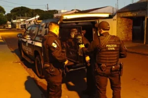 suspeito-de-extorsao-na-dark-web-e-preso-em-paicandu-jovem-de-19-anos-ja-era-investigado-por-pornografia-infantil-no-rs-600×800